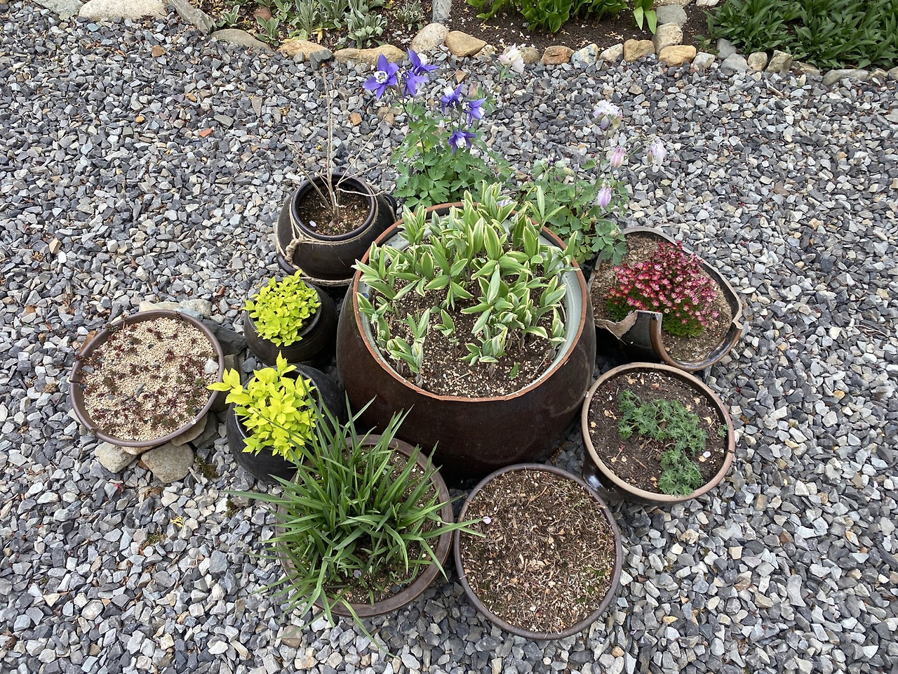 연우네 마당.jpg