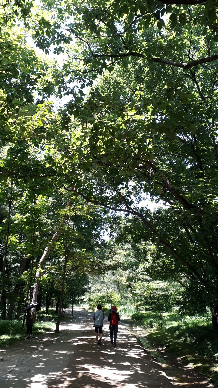 왕릉 탐방하면서 이야기를 나누다.jpg