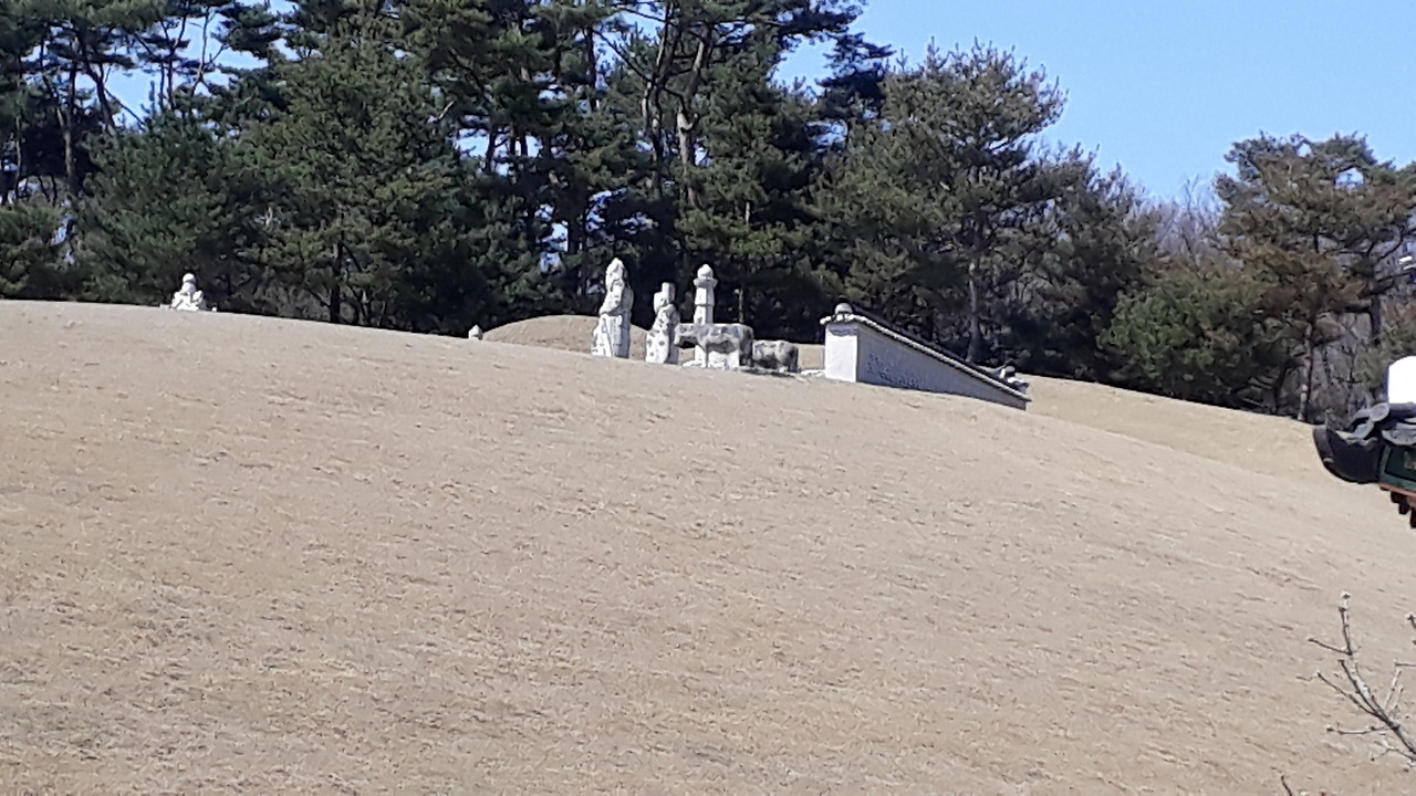 영조 원릉 전경.jpg