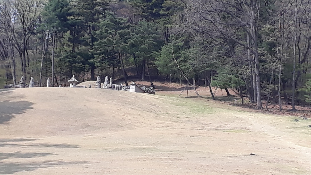 광릉 세조 능.jpg