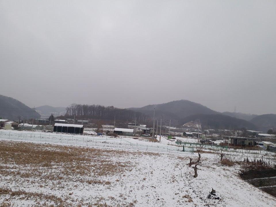 눈오는 들판.jpg