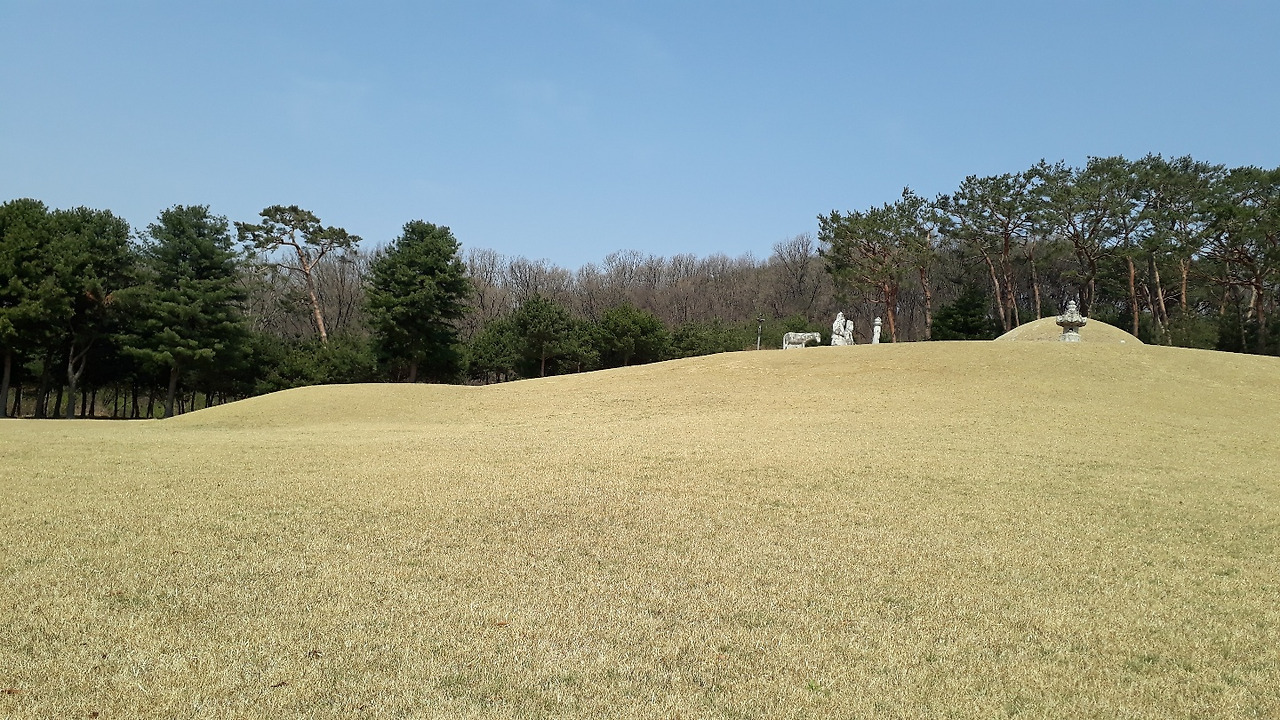 사도세자 융릉 경사면.jpg