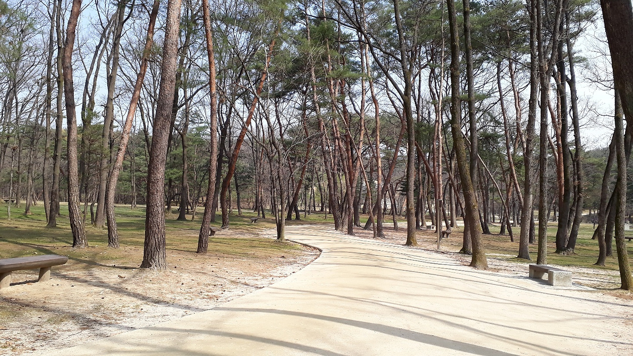 사도세자융릉가는 길.jpg
