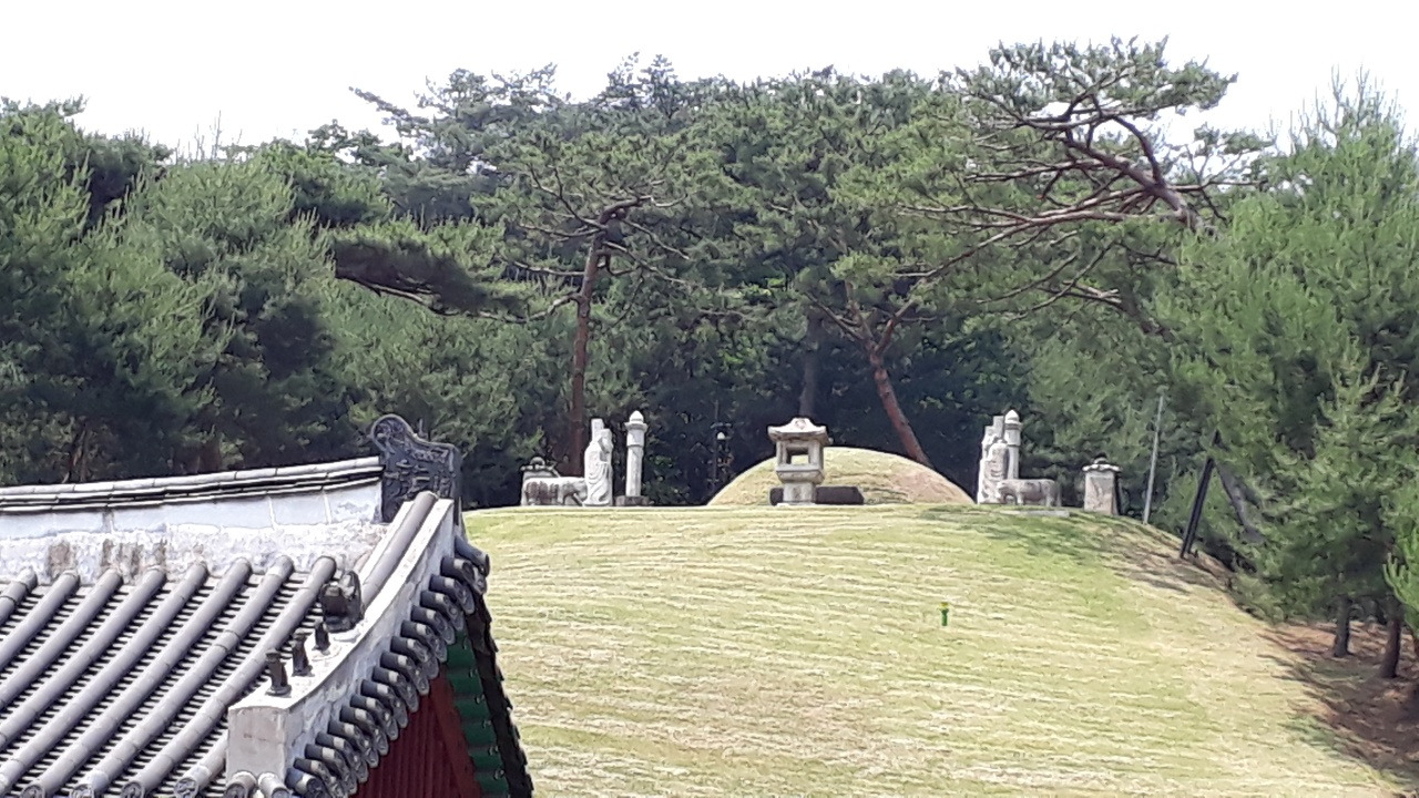신덕왕후 정릉 정자각 너머로 능침 보이다.jpg