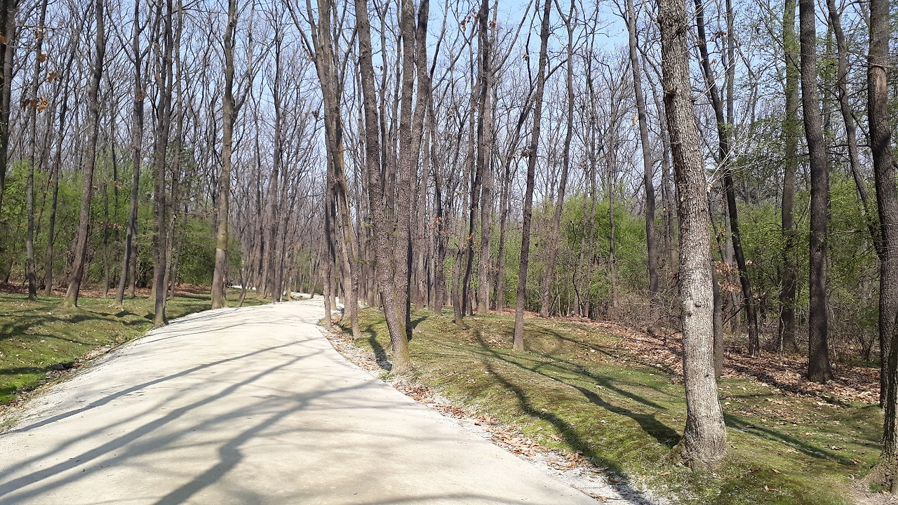 정조 건릉가는 길.jpg