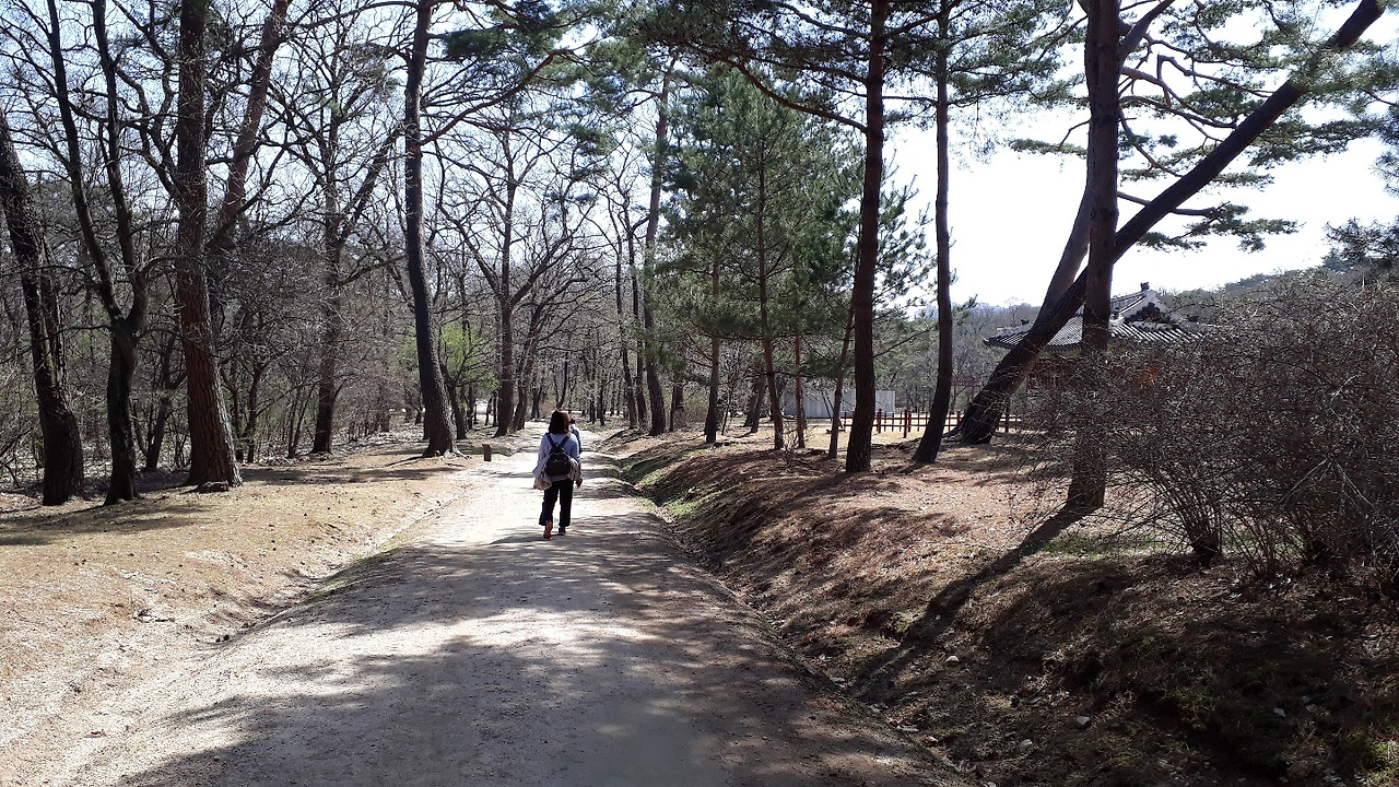 영조 원릉 가는 길.jpg