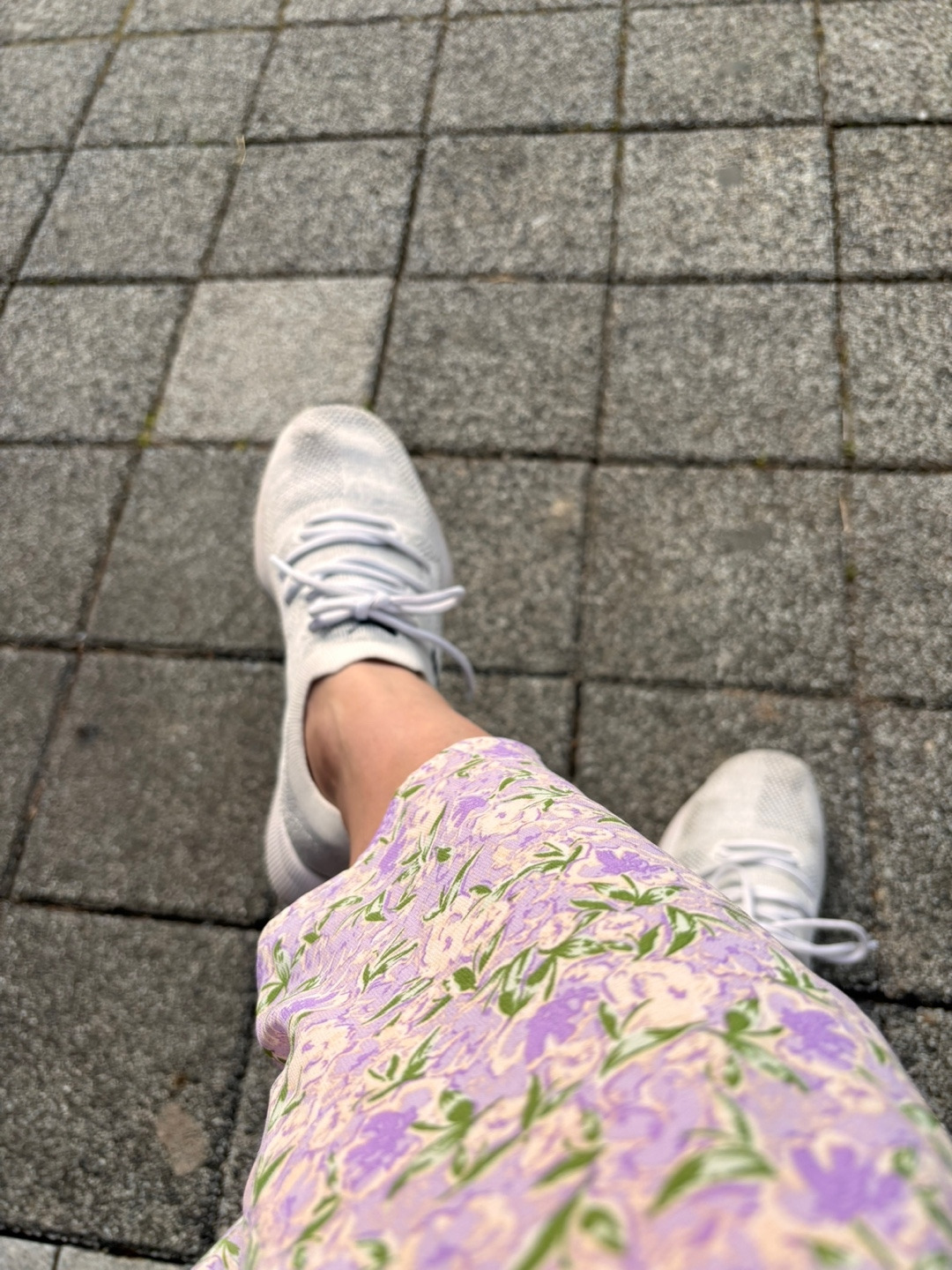 무료 카지노 게임