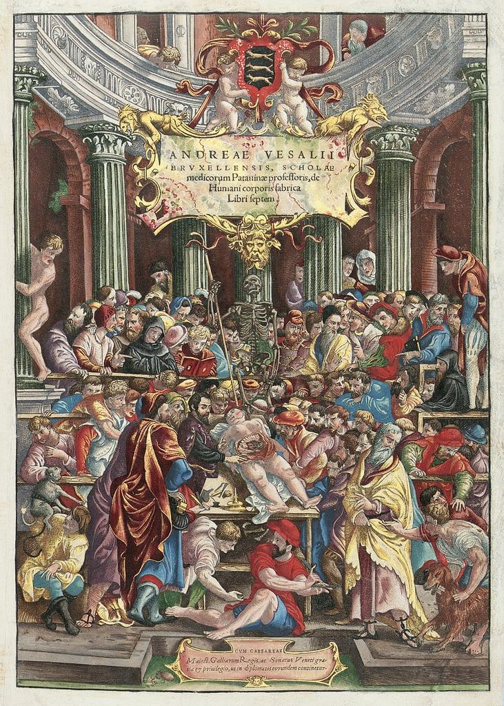 Venetian_School_-_Frontispiece_to_De_Humani_Corporis_Fabrica_Libri_Septem_by_Andreas_Vesalius_(151_-_(MeisterDrucke-450307).jpg