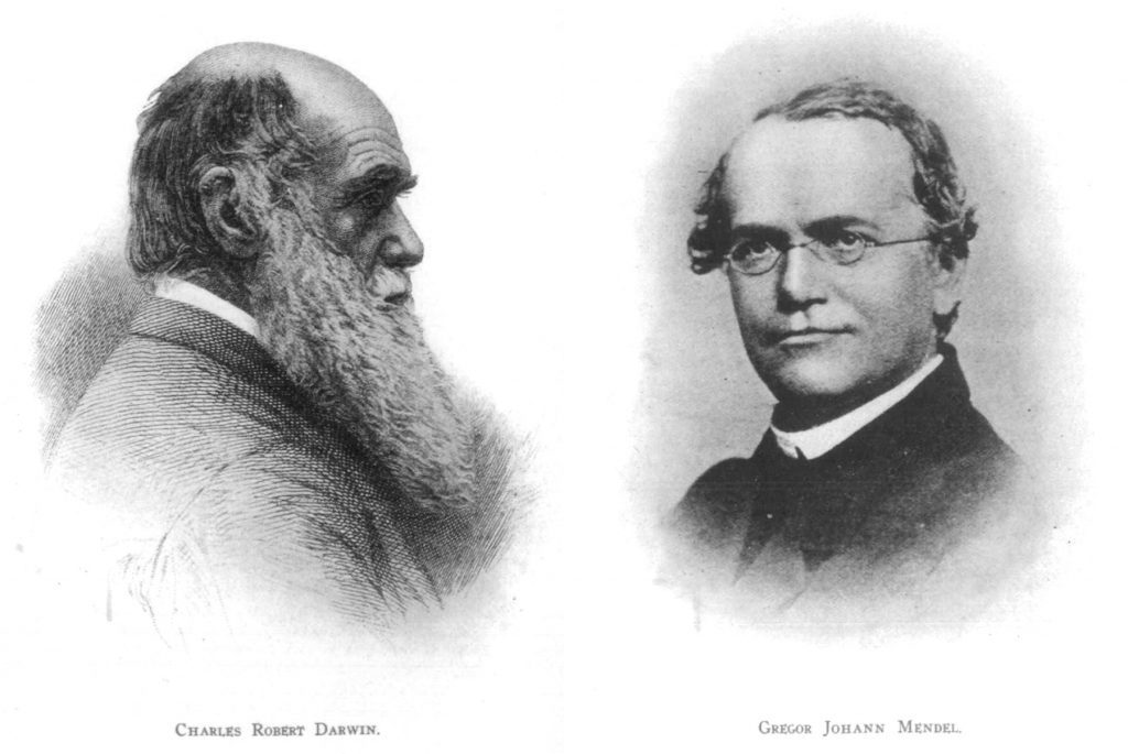 Darwinmendel-1024x685.jpg