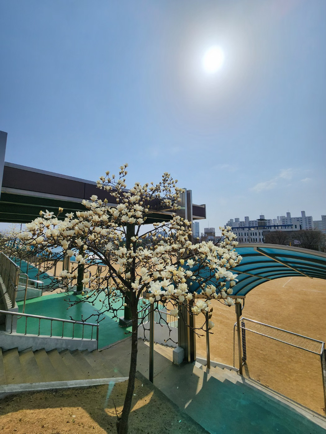 카지노 게임 사이트