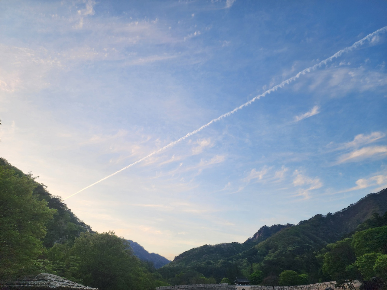 카지노 쿠폰