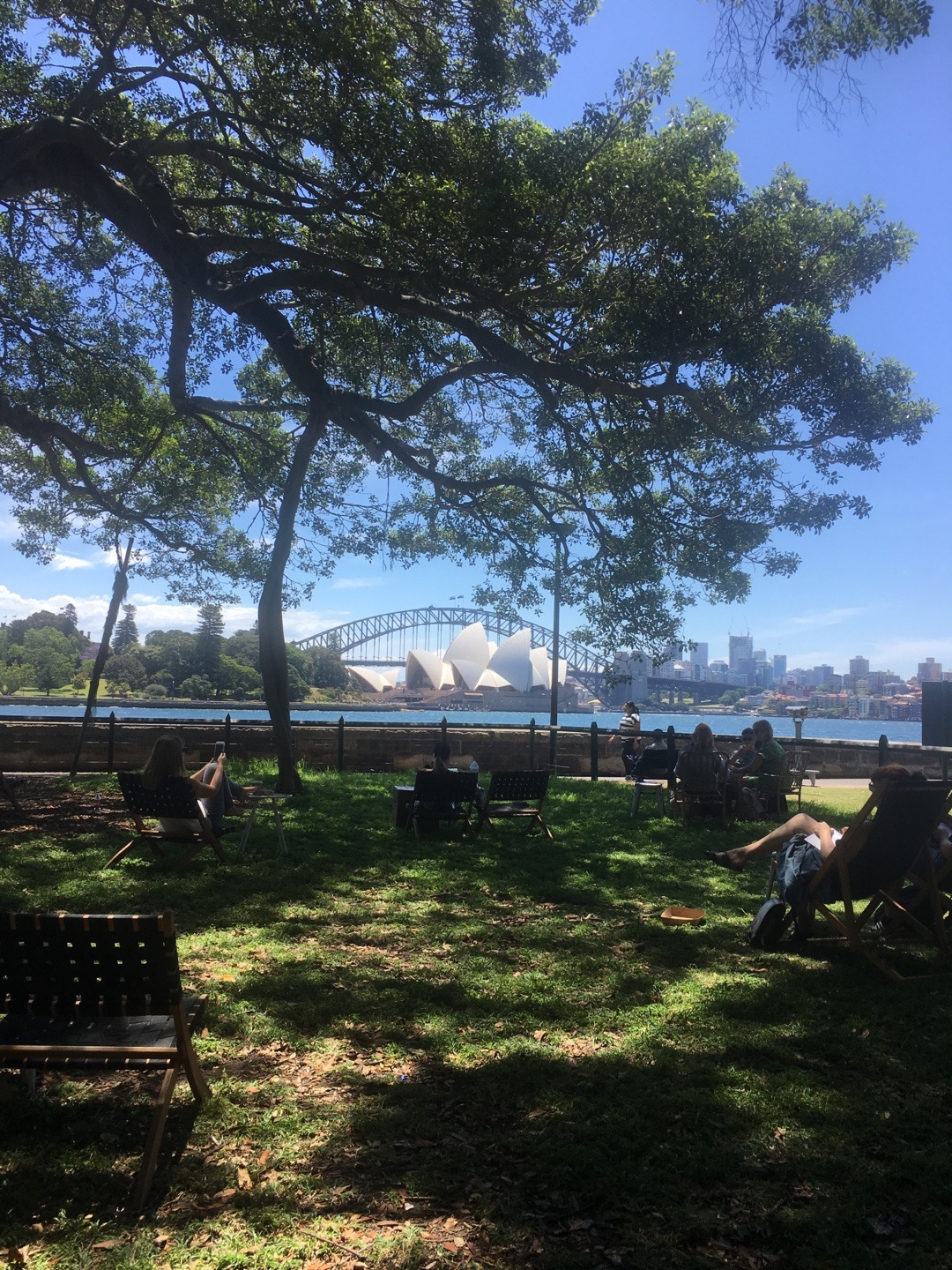 시드니1.jpg