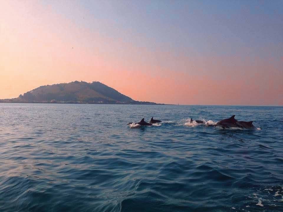 IMG_5356-EDIT (1).jpg