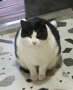 20230111_075106 (2).jpg