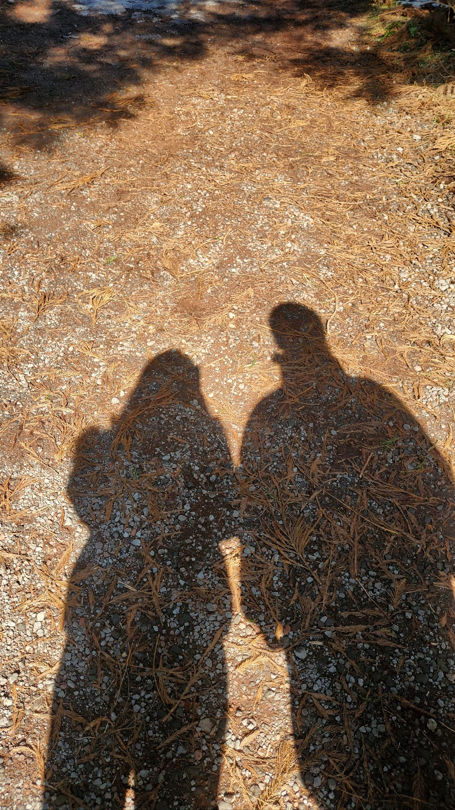 껌딱지 아내.jpg