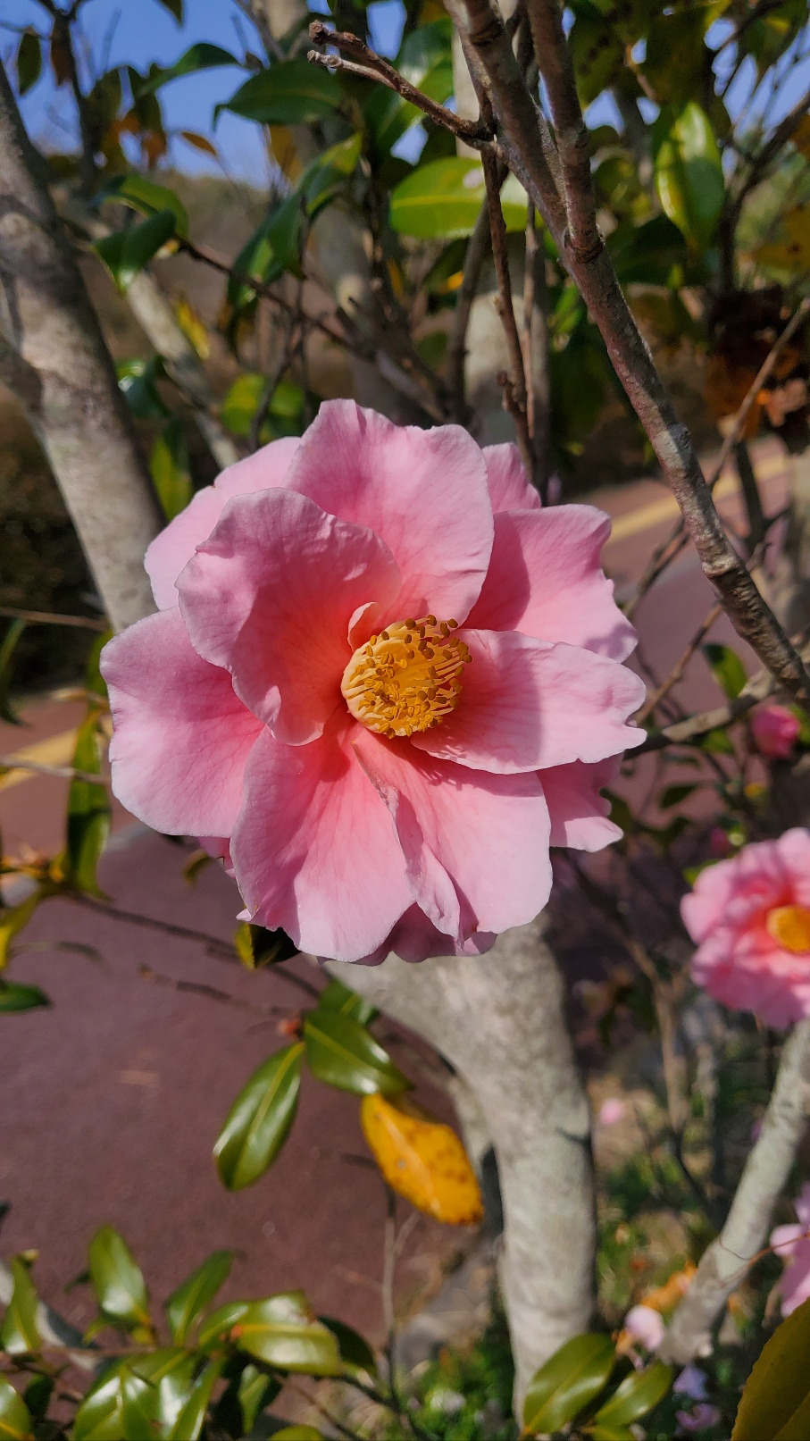 아들 그리고 남편.jpg