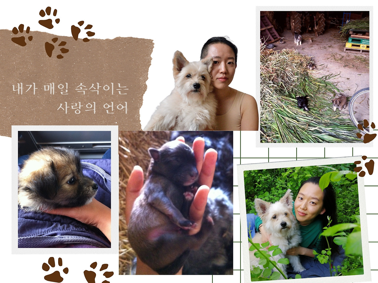 사랑의 언어_하리타.jpg