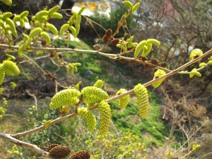 다운로드 (1).jpg