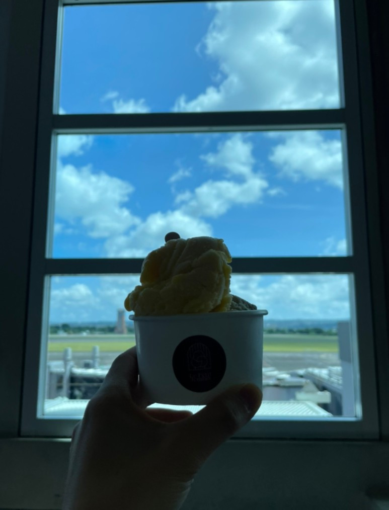 발리 비건 아이스크림 18.jpg