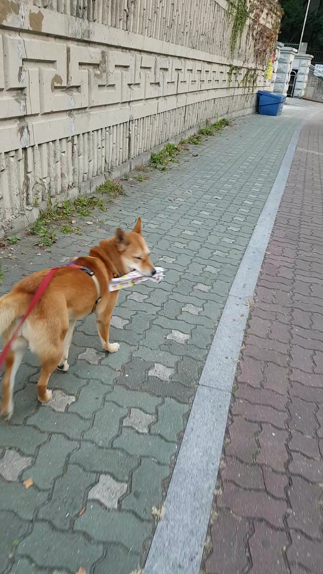 Screenshot_20191028-103026_Video Player.jpg