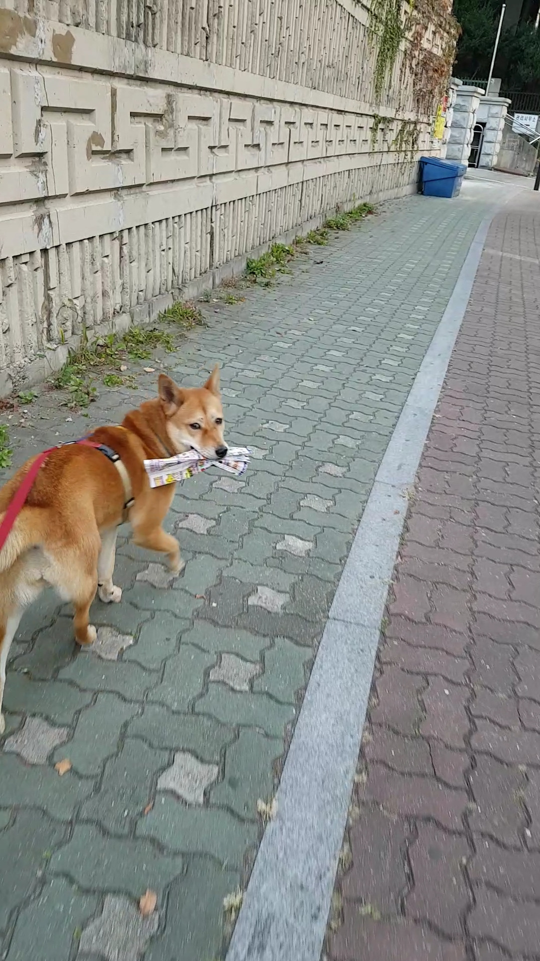 Screenshot_20191028-102933_Video Player.jpg