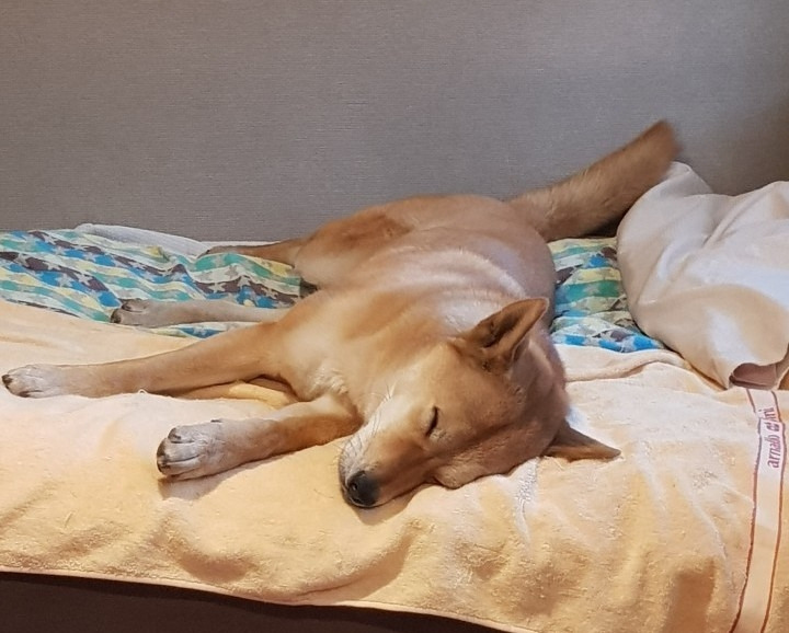 1550390300380 복사본.jpg