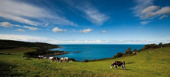 5 La Hougue, Photo B. Almodovar 2.jpg