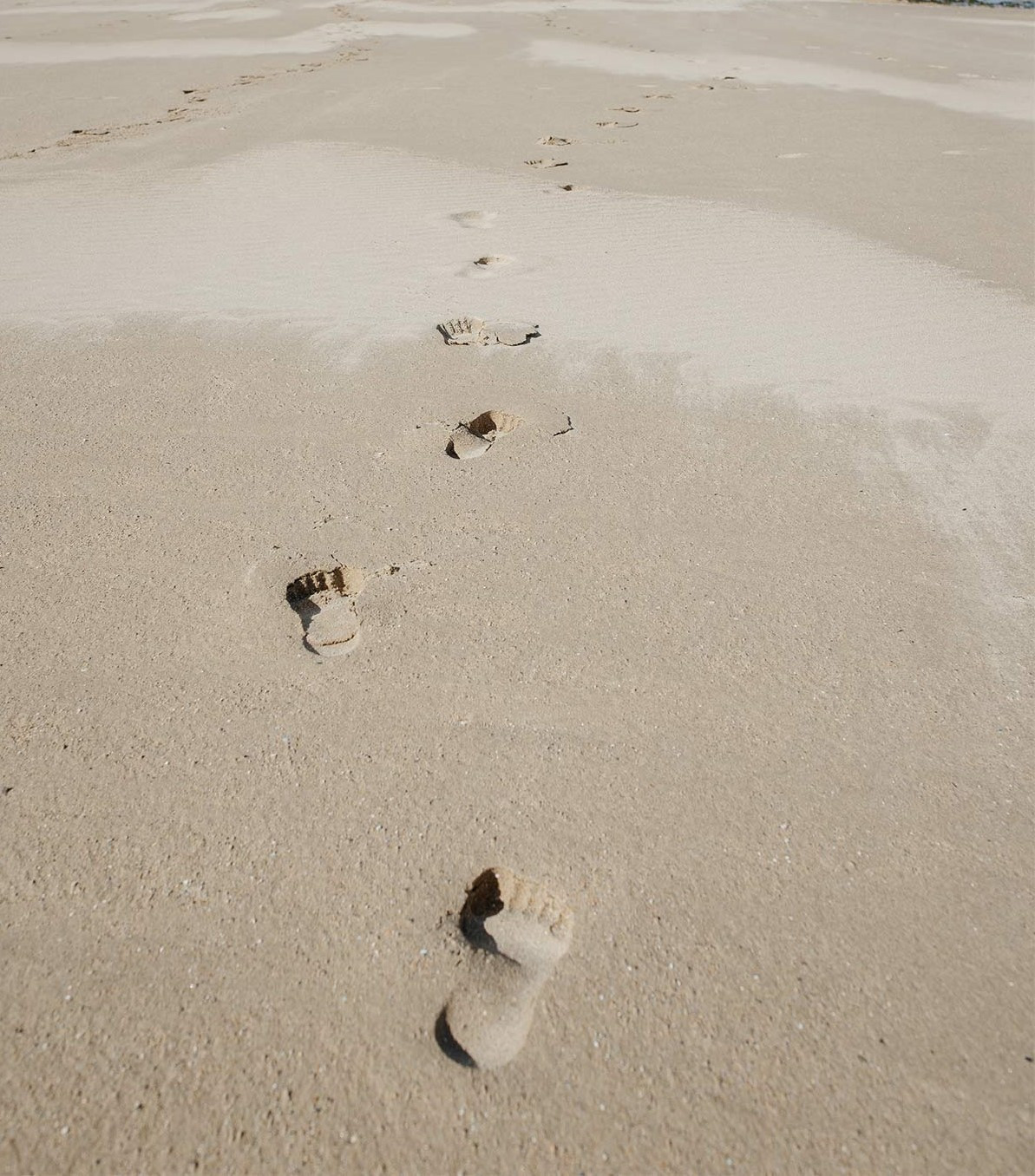 Trace de la plage.jpg