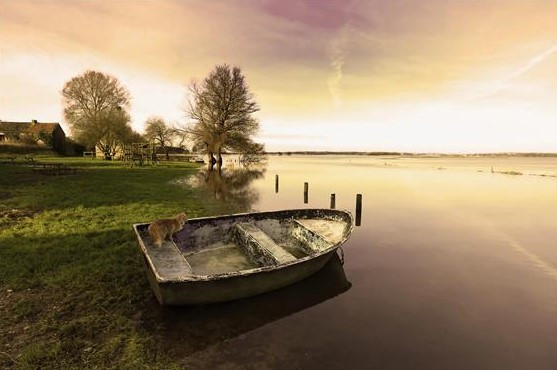 Baie des Veys, Office de Tourisme.jpg