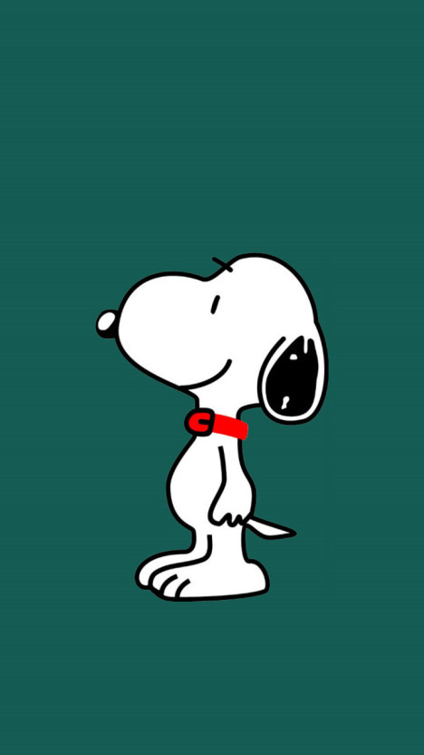 다운로드 (1).jpg