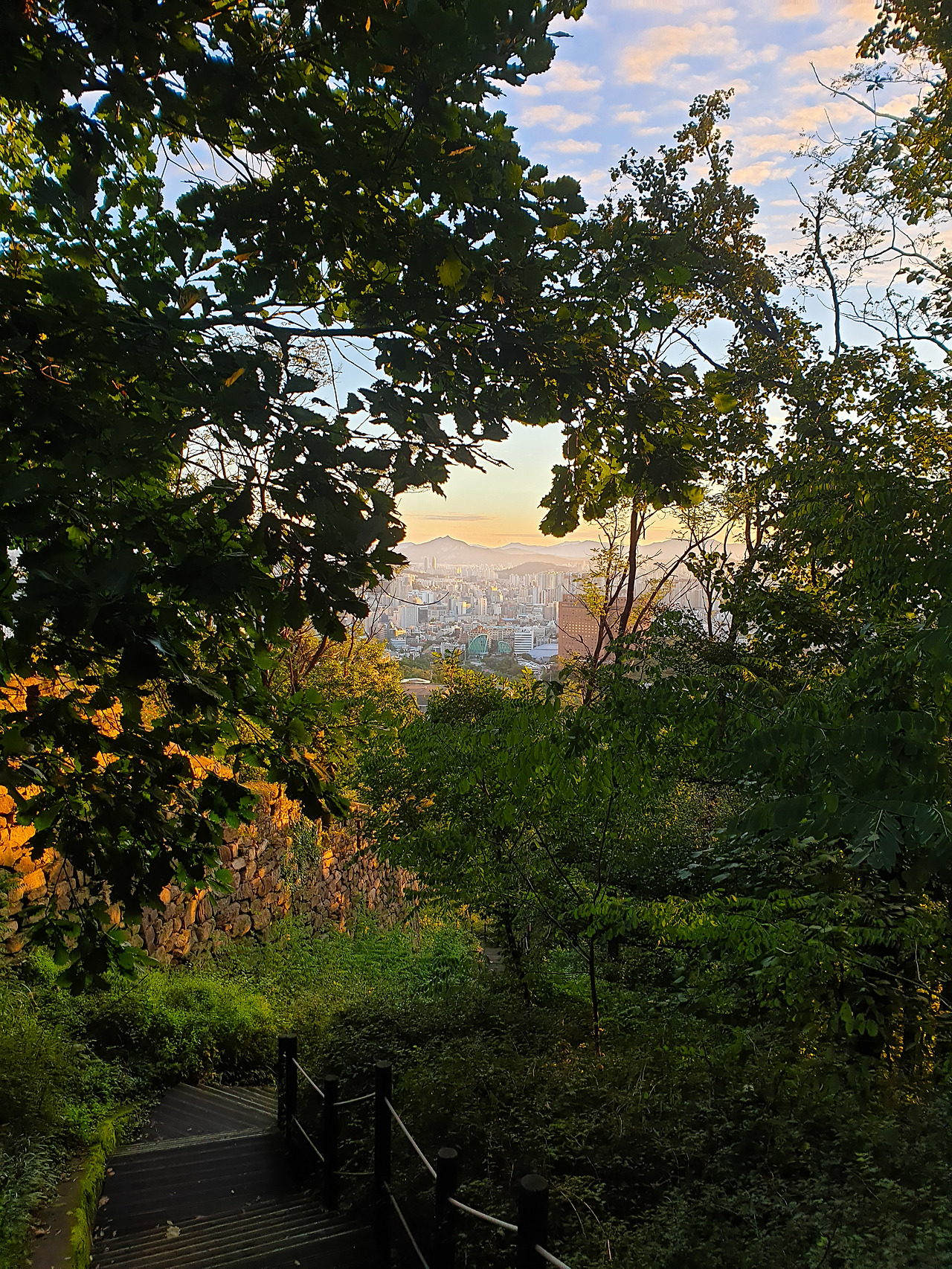 seize the day (4).jpg