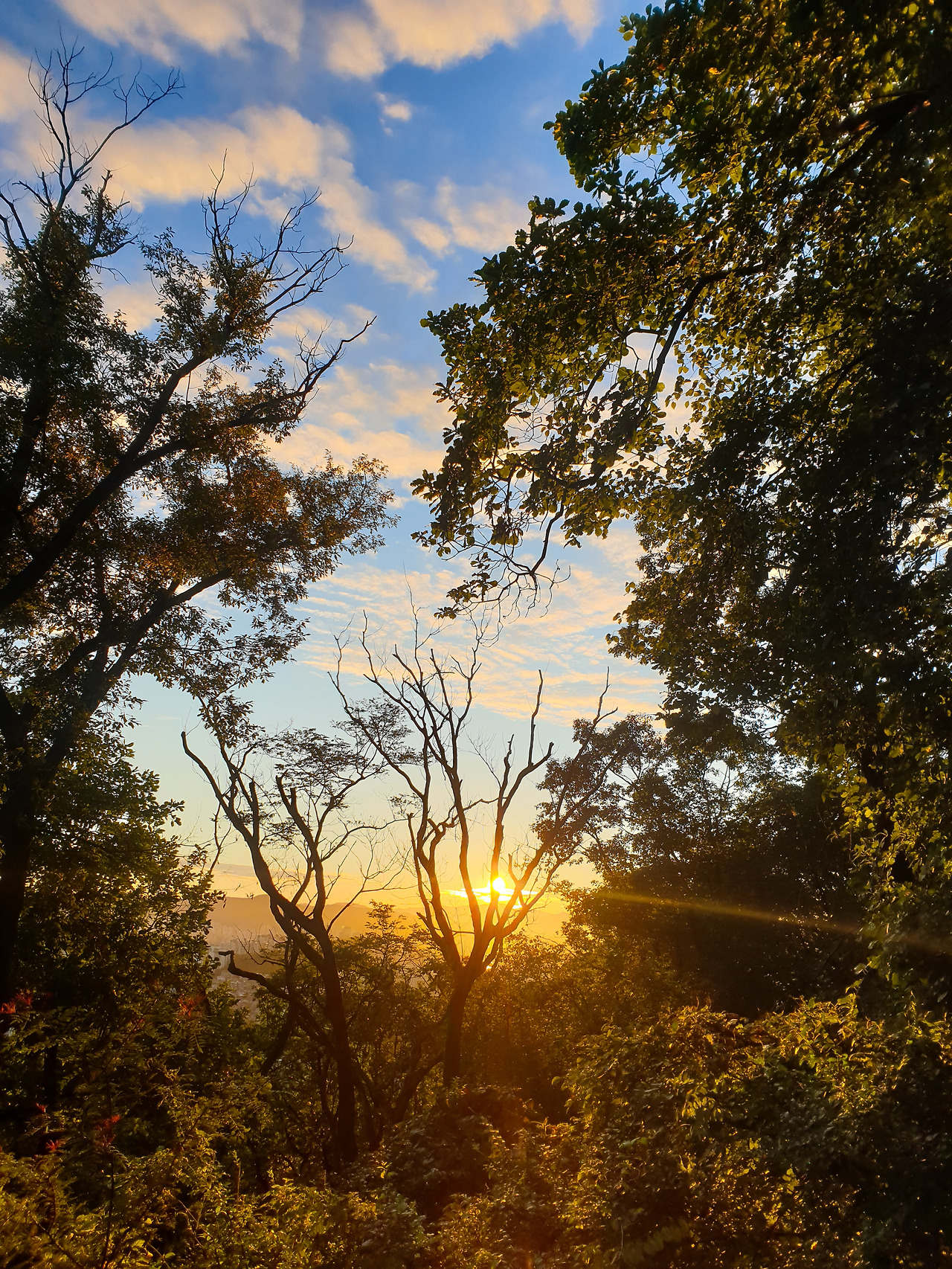 seize the day (1).jpg