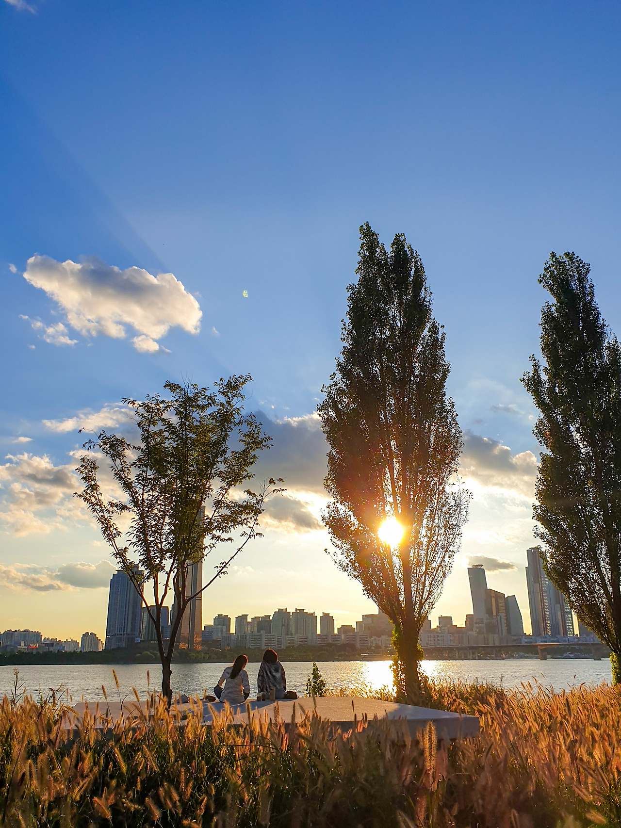 seize the day (1).jpg