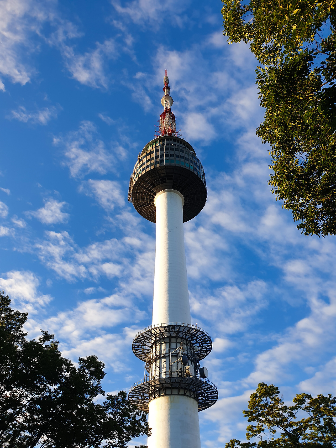 seize the day (3).jpg