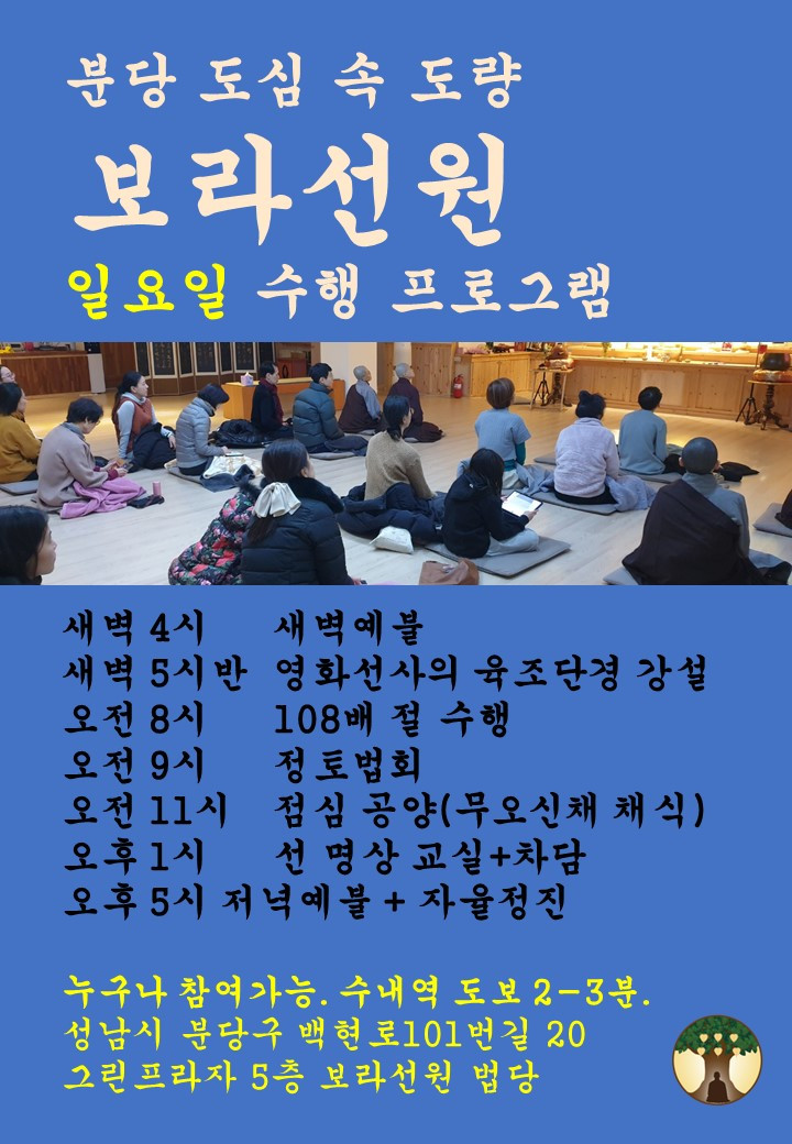 분당 보라선원 일요일.jpg