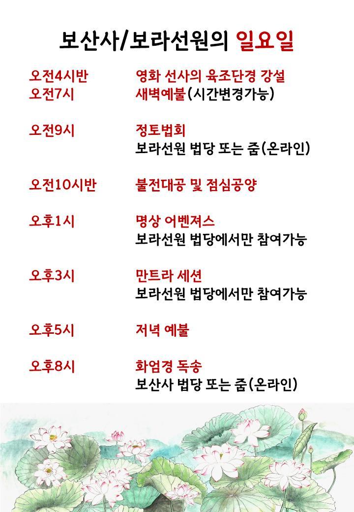 분당 보라선원 포스터 일요일.jpg