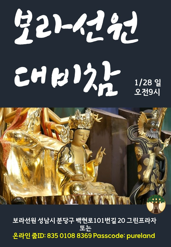 보라 대비참.jpg