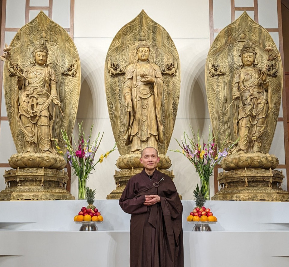 Master Z profile DTT.jpg