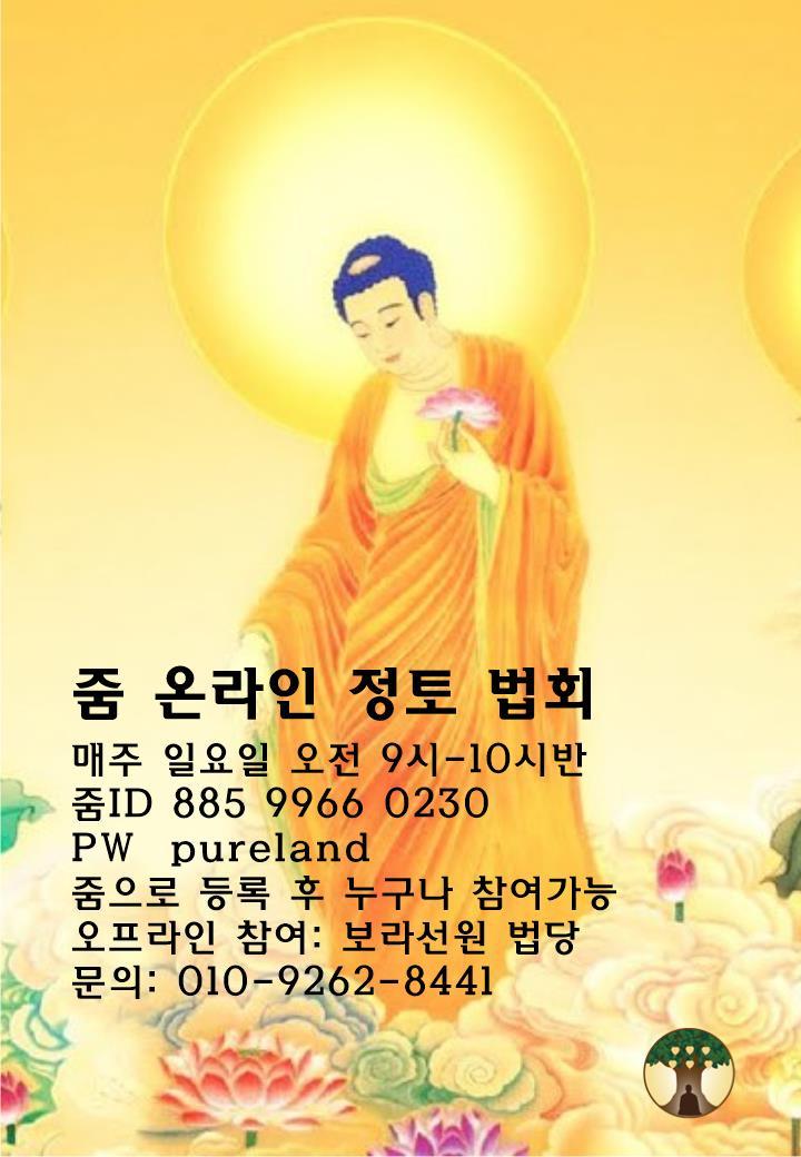일요 정토법회.jpg