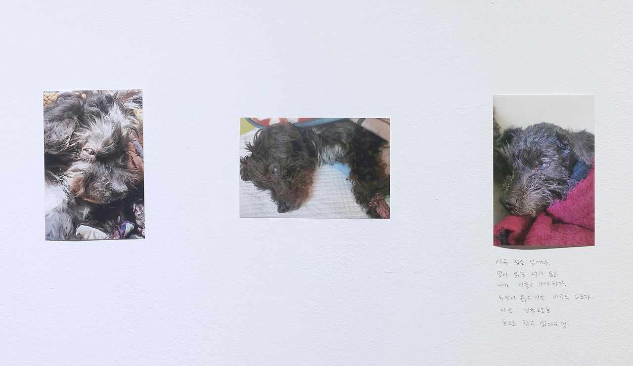 _A6A5062 사본 copy.jpg