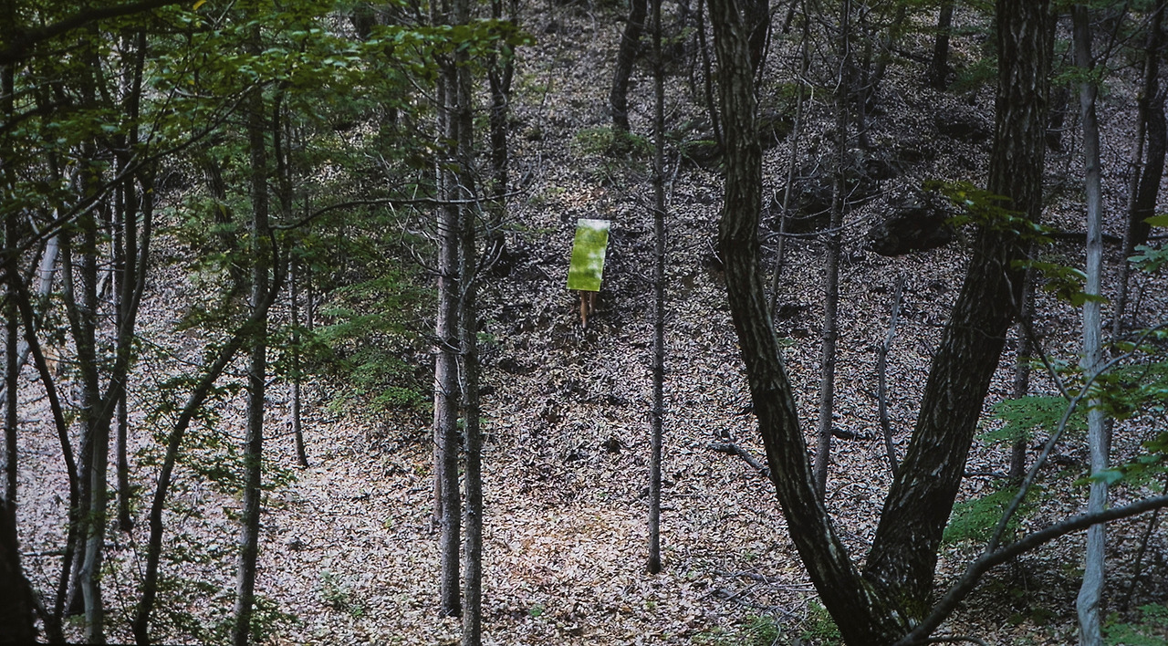 _A6A5163 사본 copy.jpg