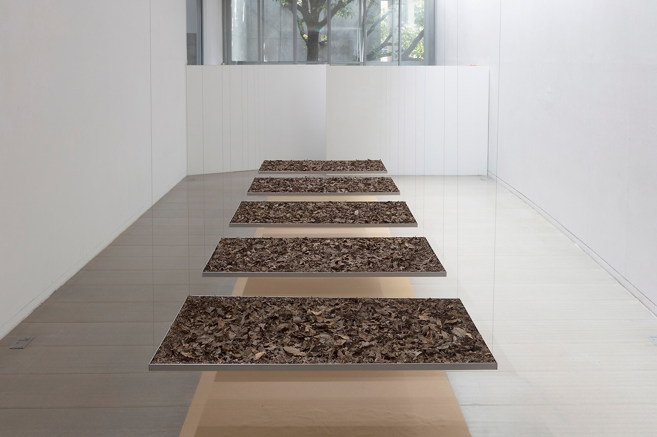 4. 이대길, 우리는 대지를, 2021, 아루미늄,모래,낙엽,나뭇가지,열매, 900x200x80cm copy.jpg