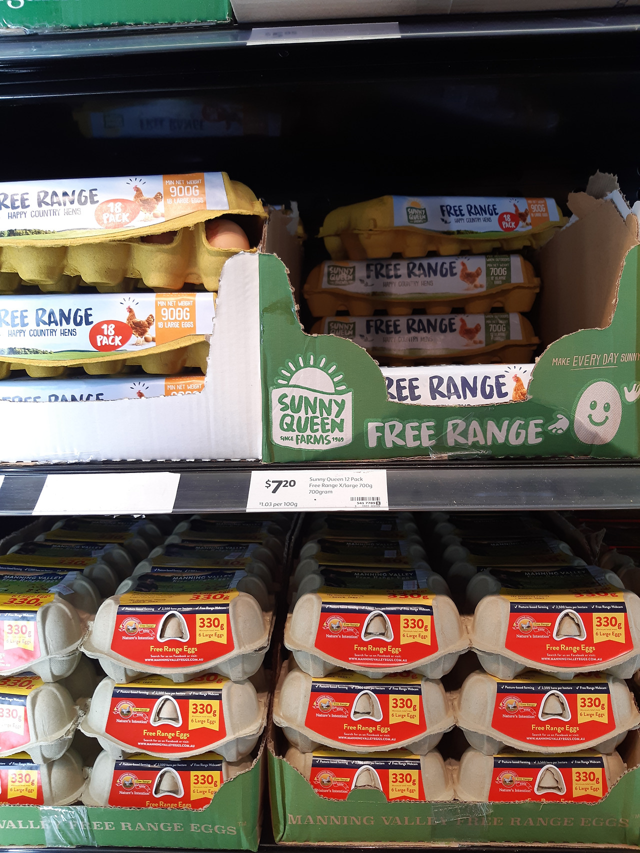 20240117_방목한 계란_콜스.jpg