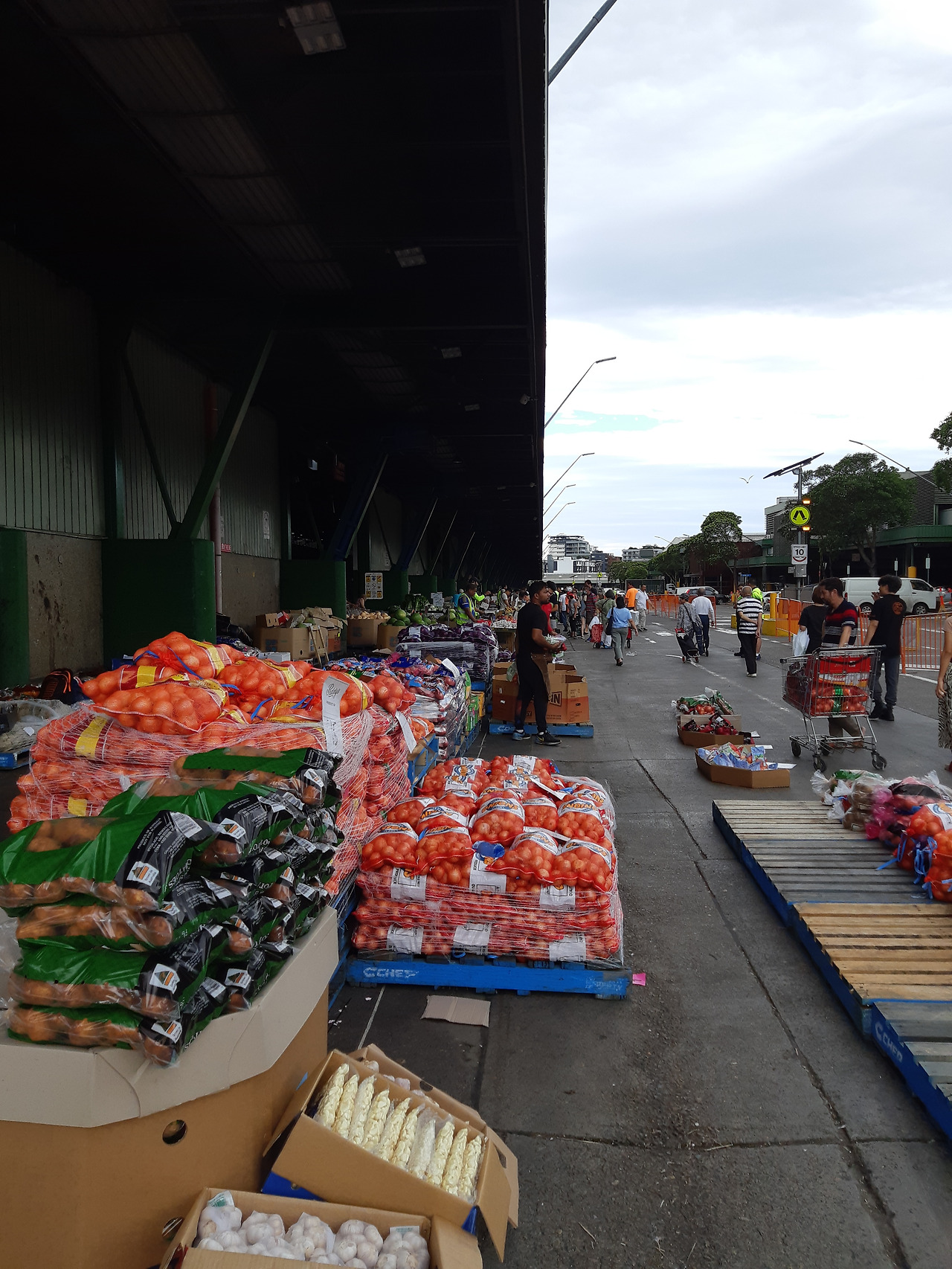 20240126_시드니마켓2.jpg