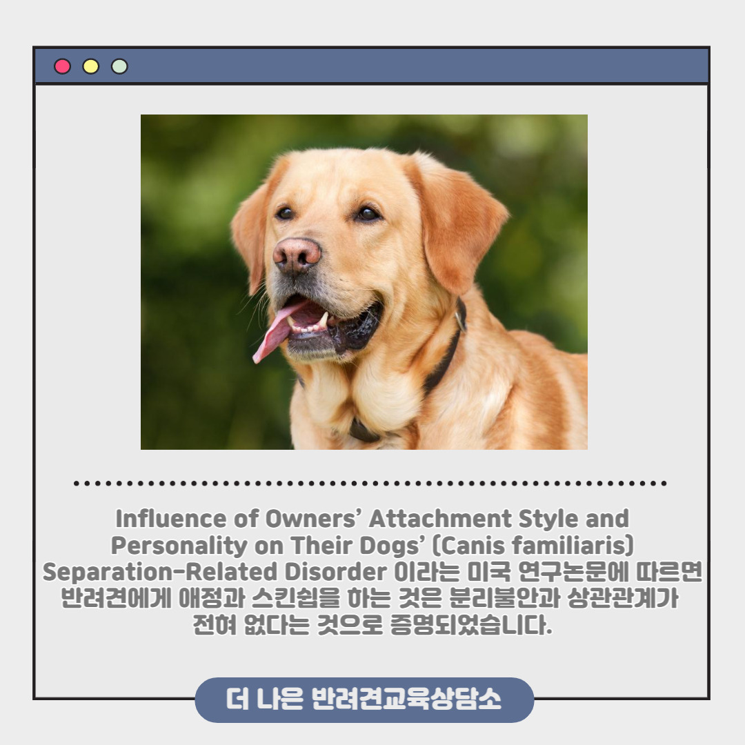 제목을 입력해주세요_-003.jpg