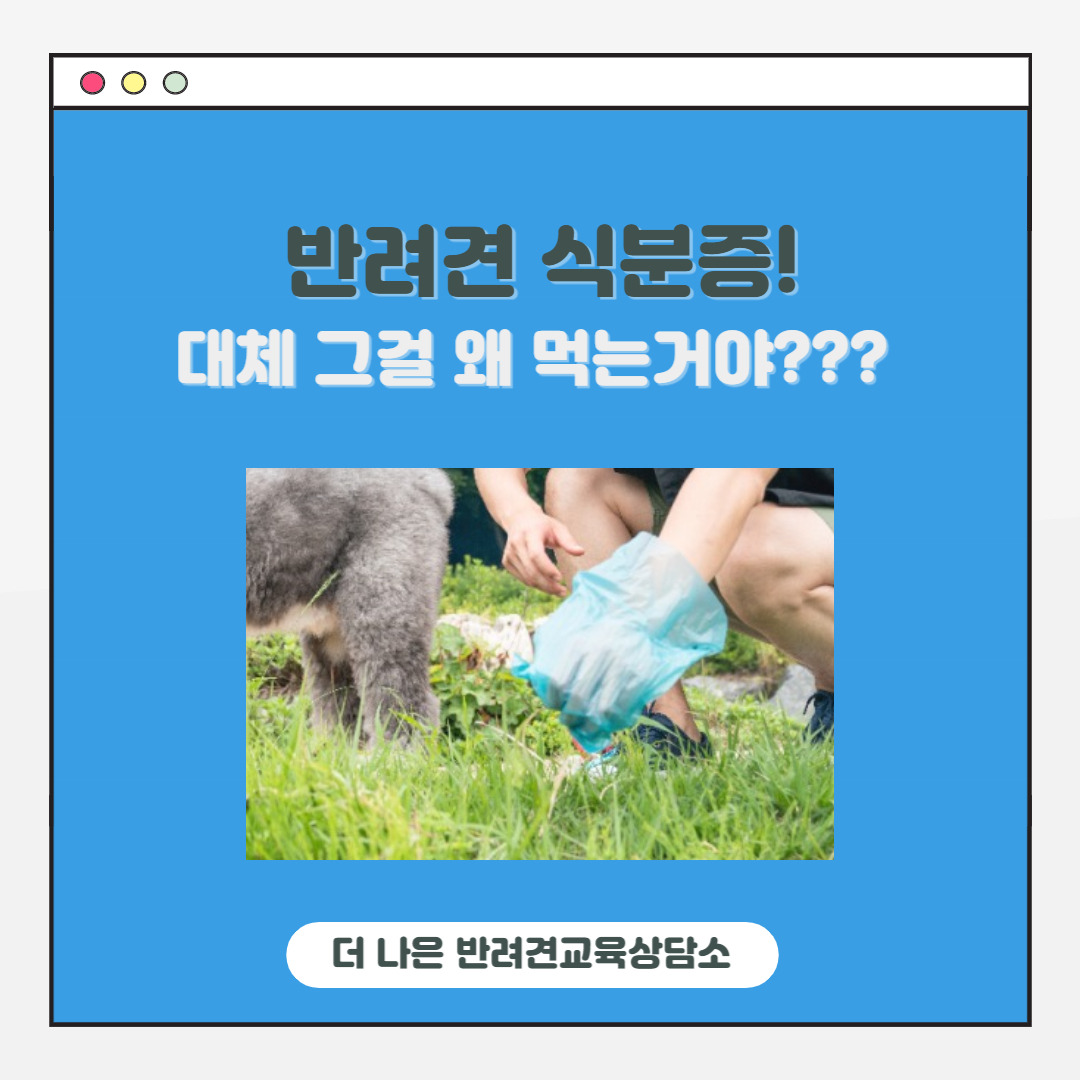 제목을 입력해주세요_-001 (1).jpg