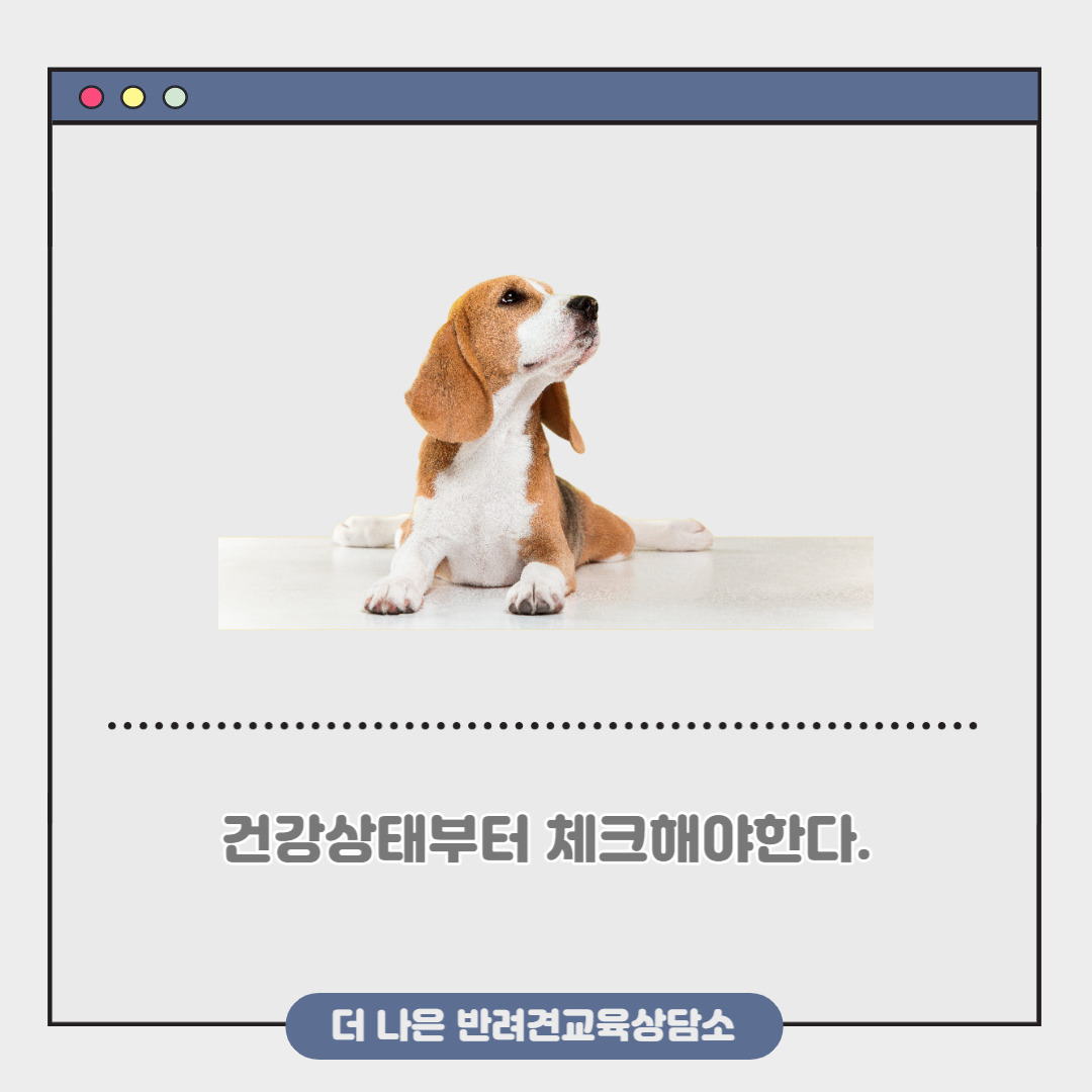 제목을 입력해주세요_-004.jpg