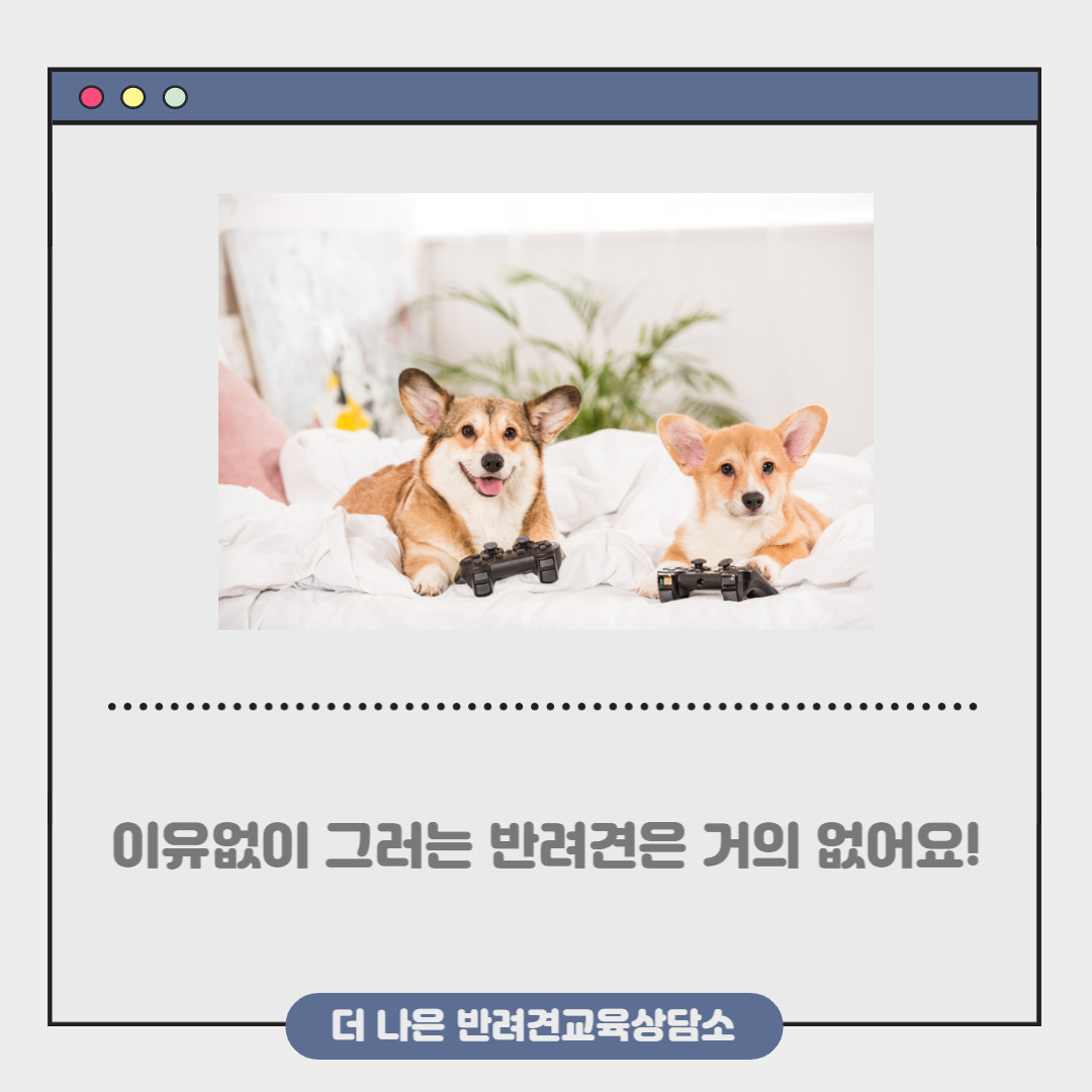 제목을 입력해주세요_-003.jpg