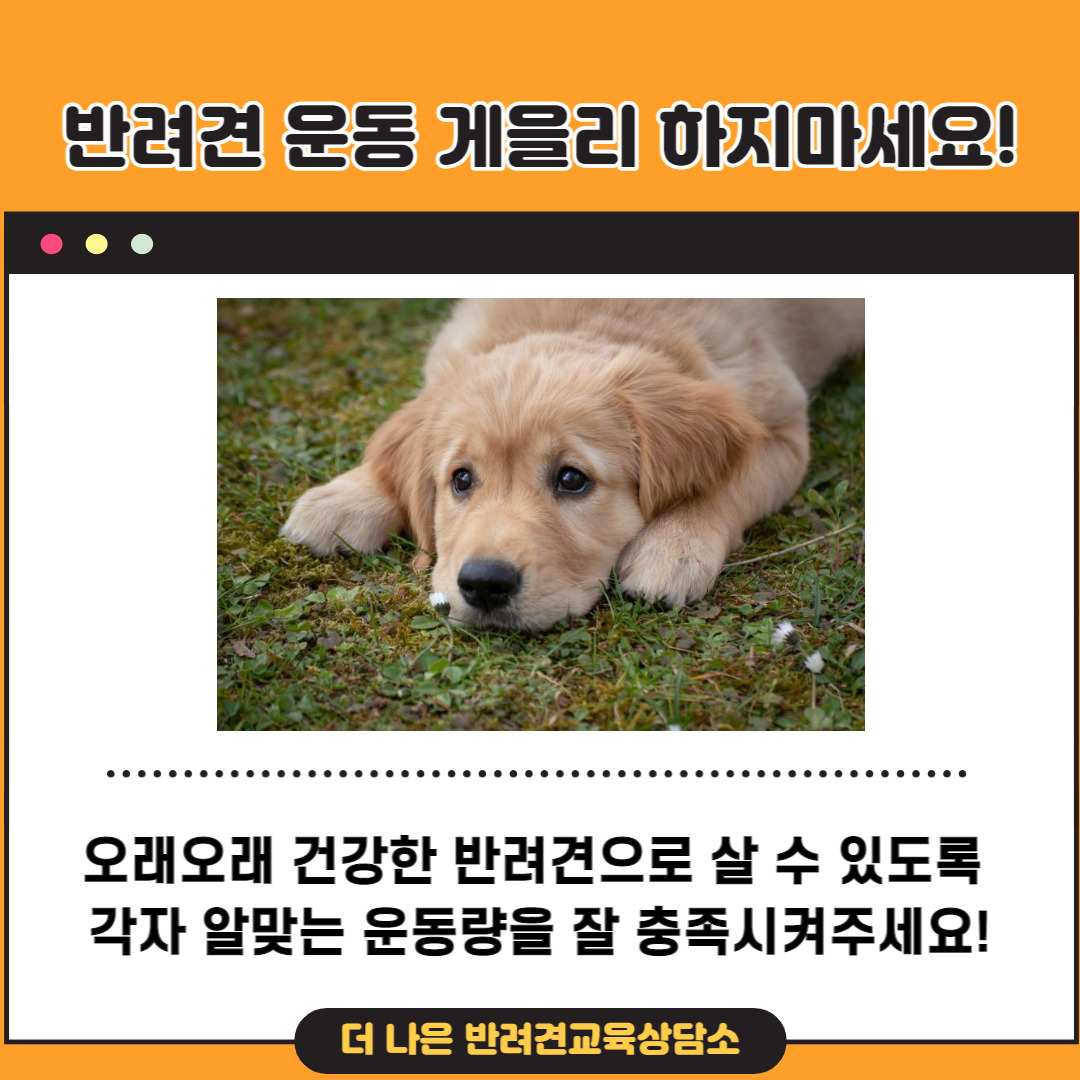 제목을 입력해주세요_-008.jpg