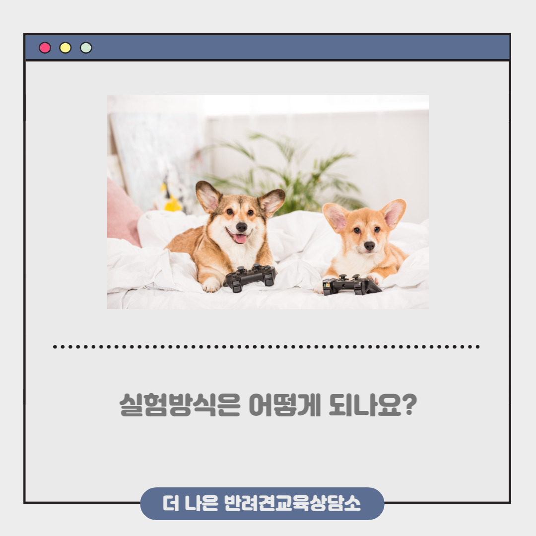 제목을 입력해주세요_-002.jpg